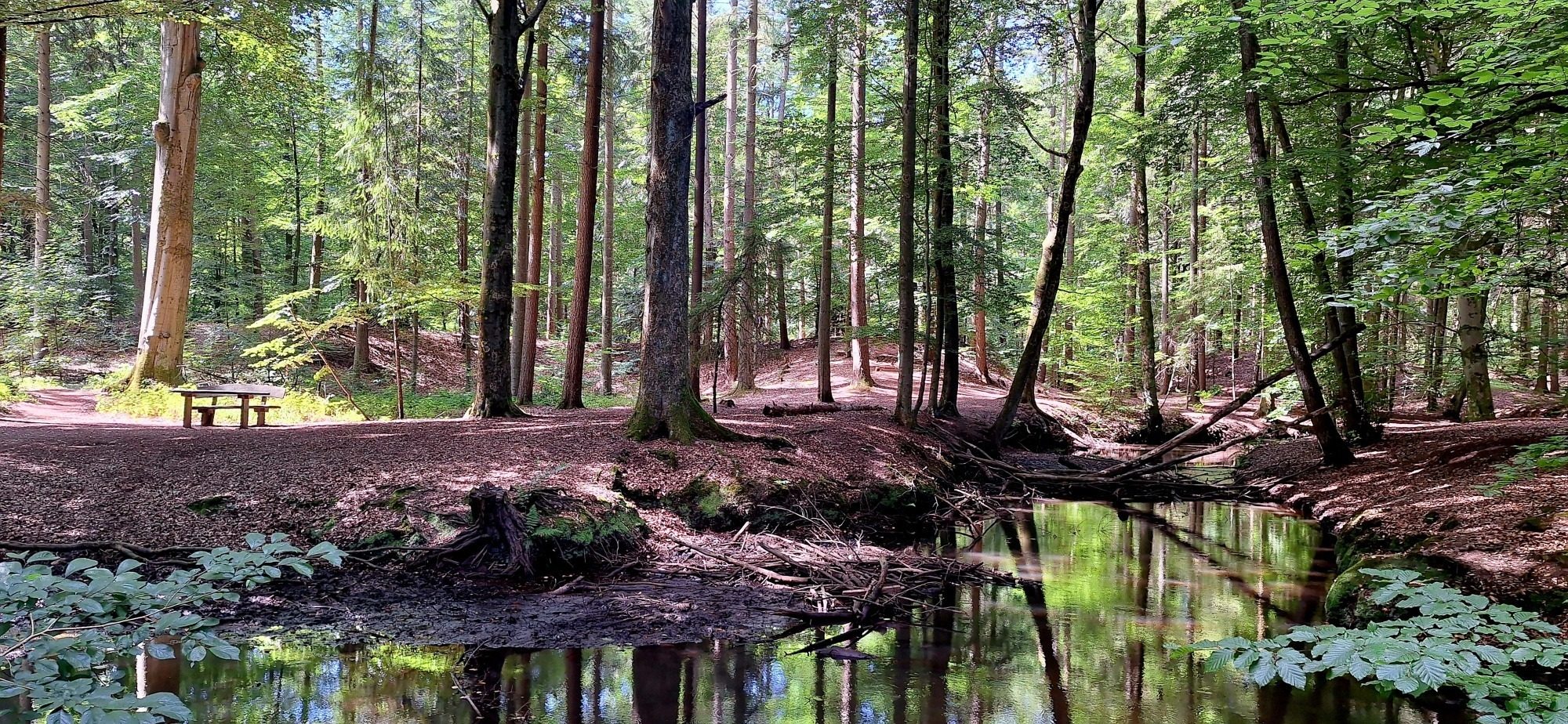 Lüneburger Heide