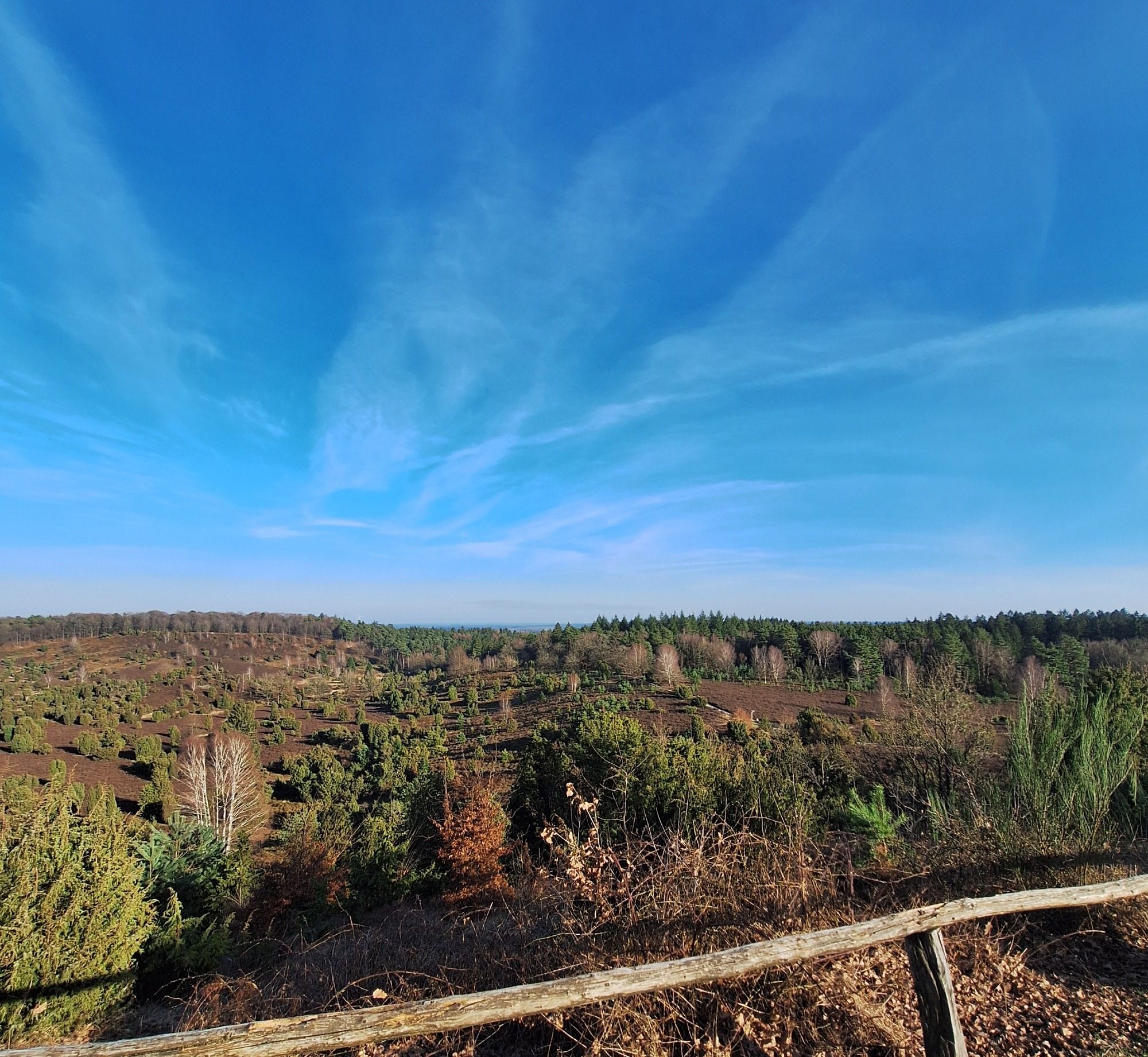Ausblick auf die Lüneburger Heide