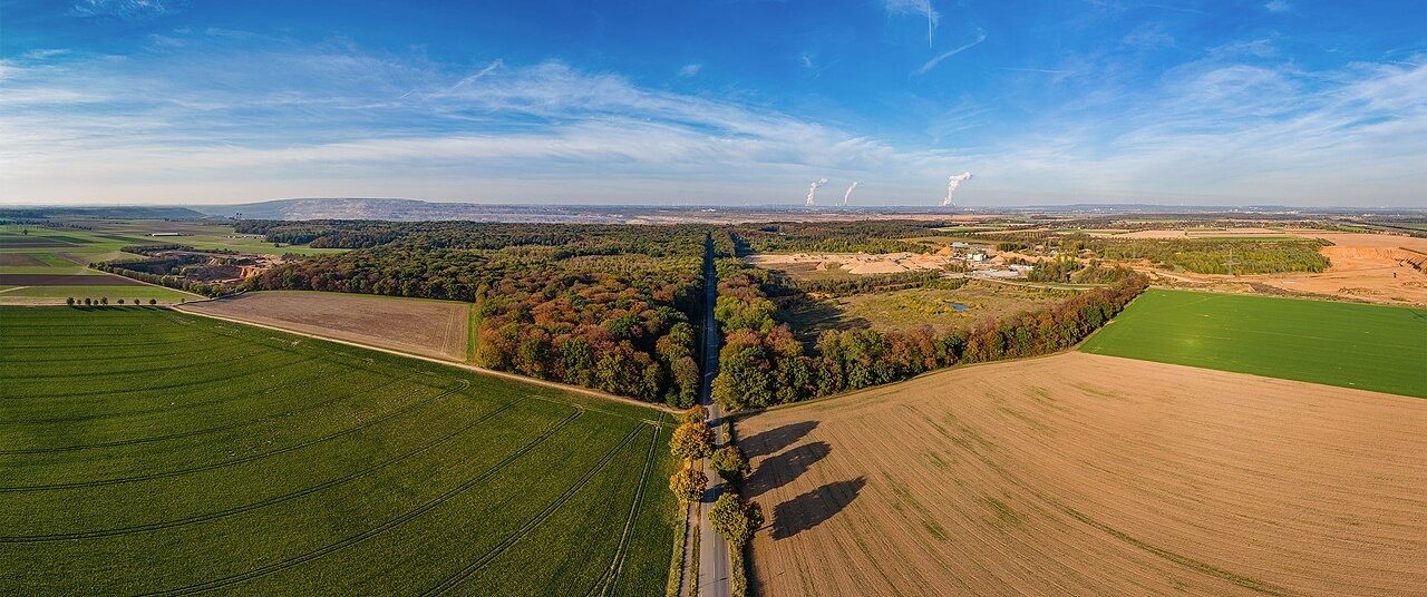 Hambacher Forst