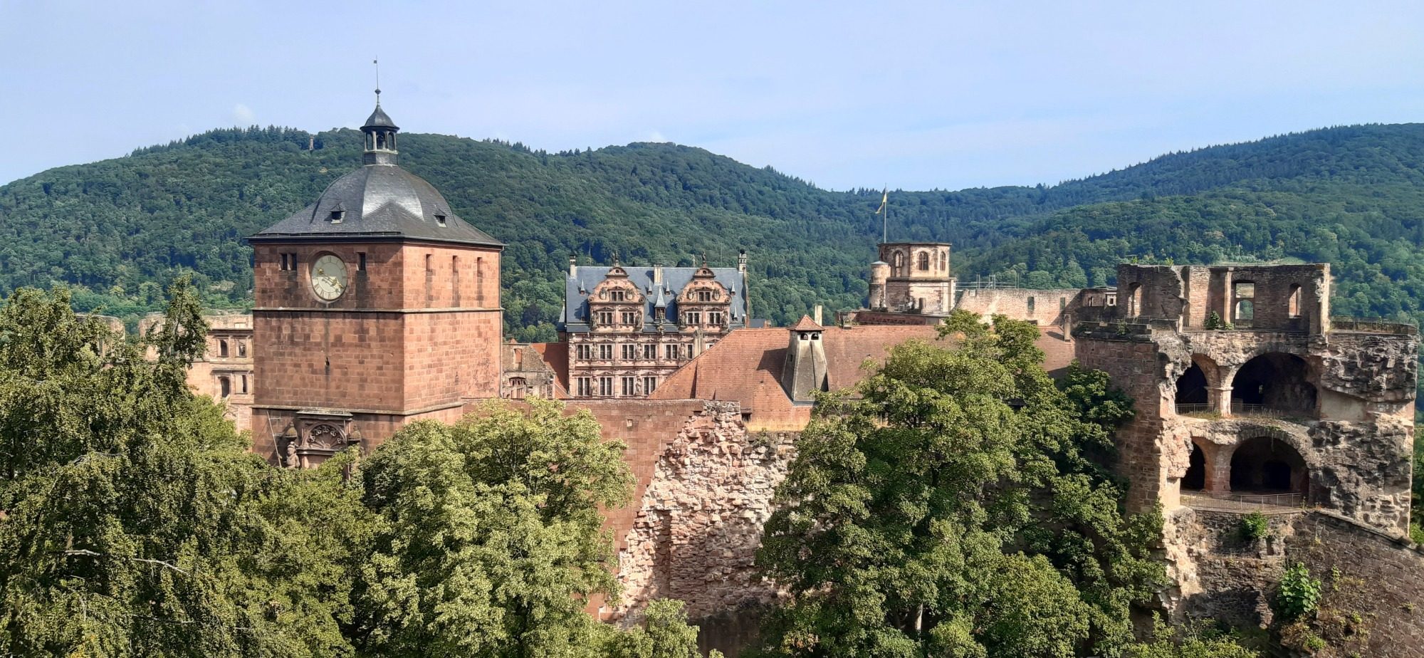 Ausblick auf eine Burg in den Wäldern