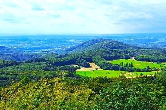 Landschaft mit Berg und Wald