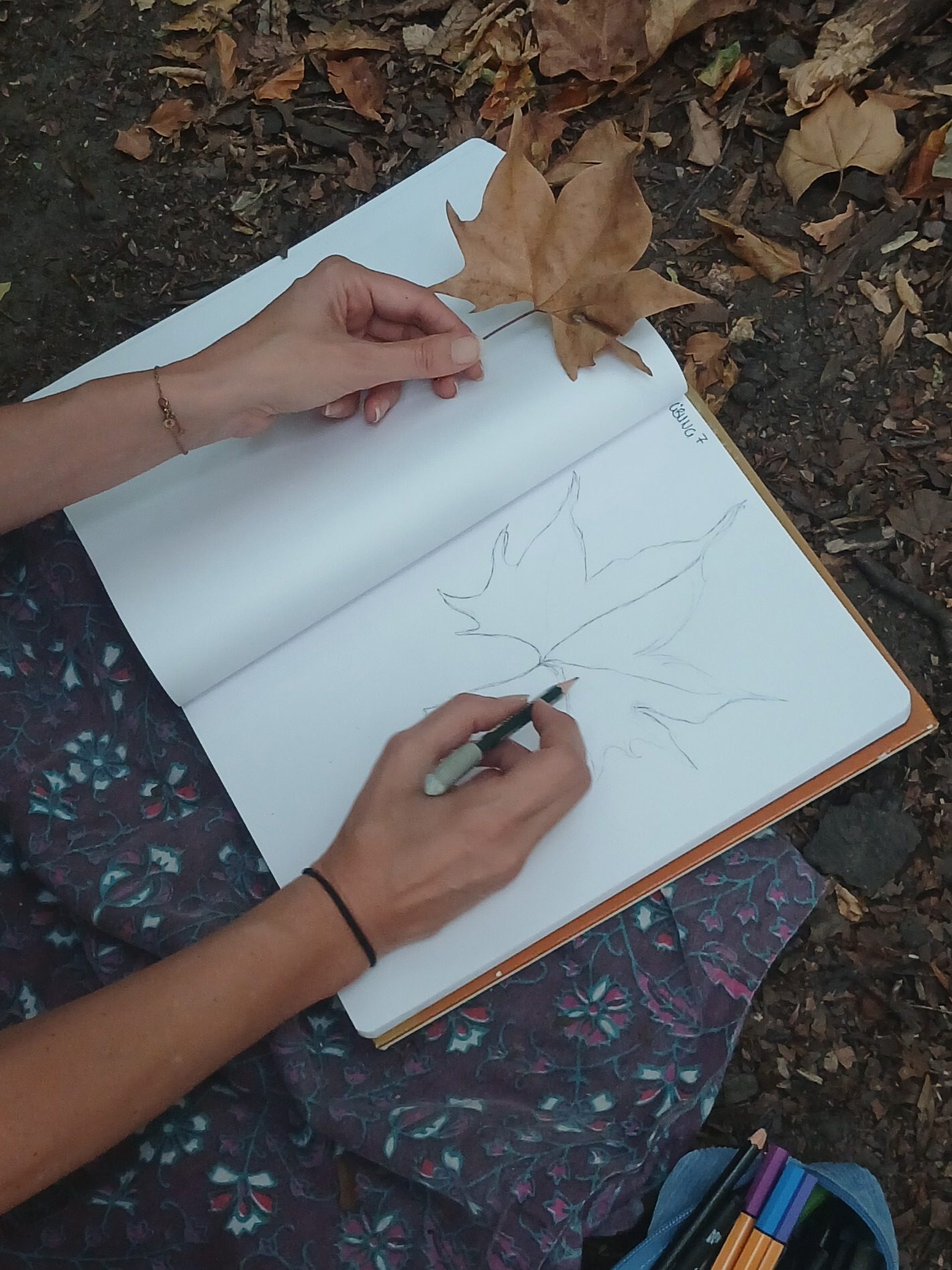 Nature Journaling