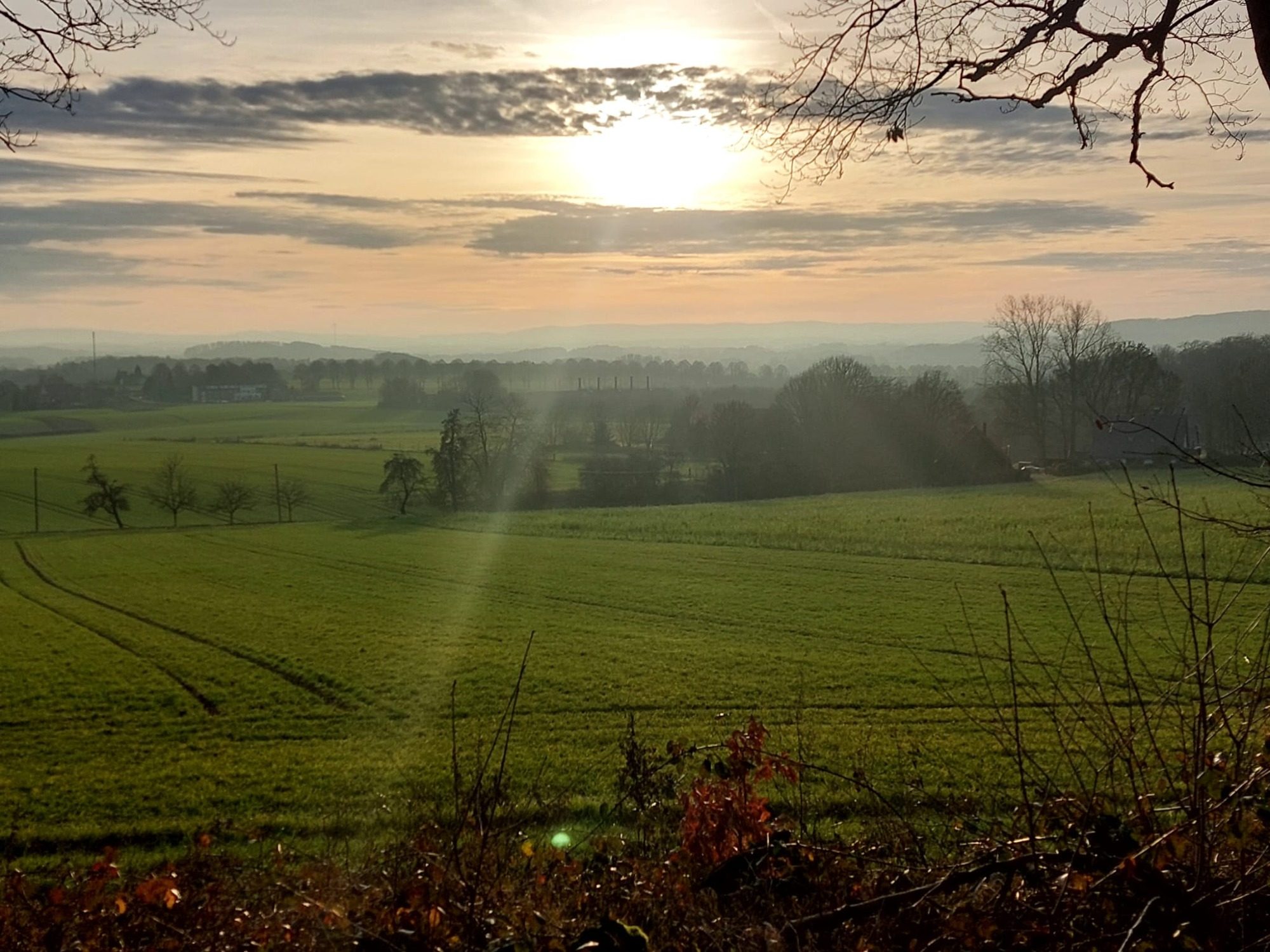 Feld und Wiesen mit Sonnenaufgang