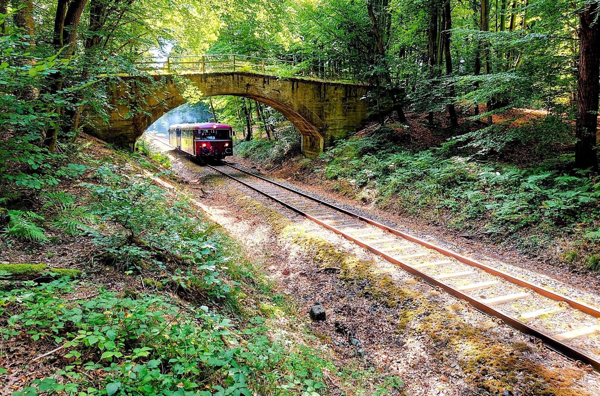 Schienenbus