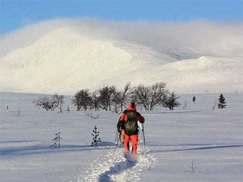 Schneeschuhwandern