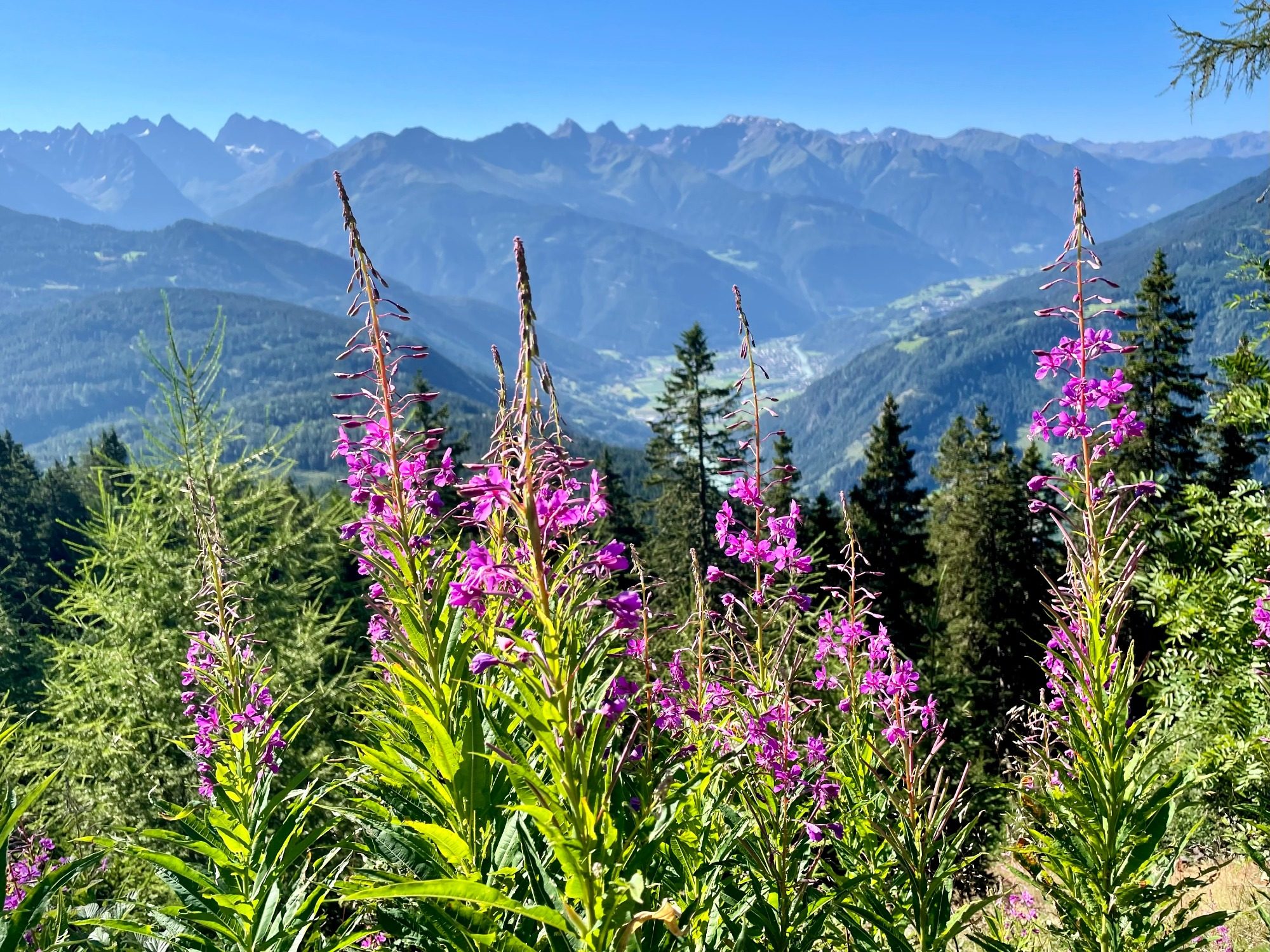 Aussicht auf die Berge