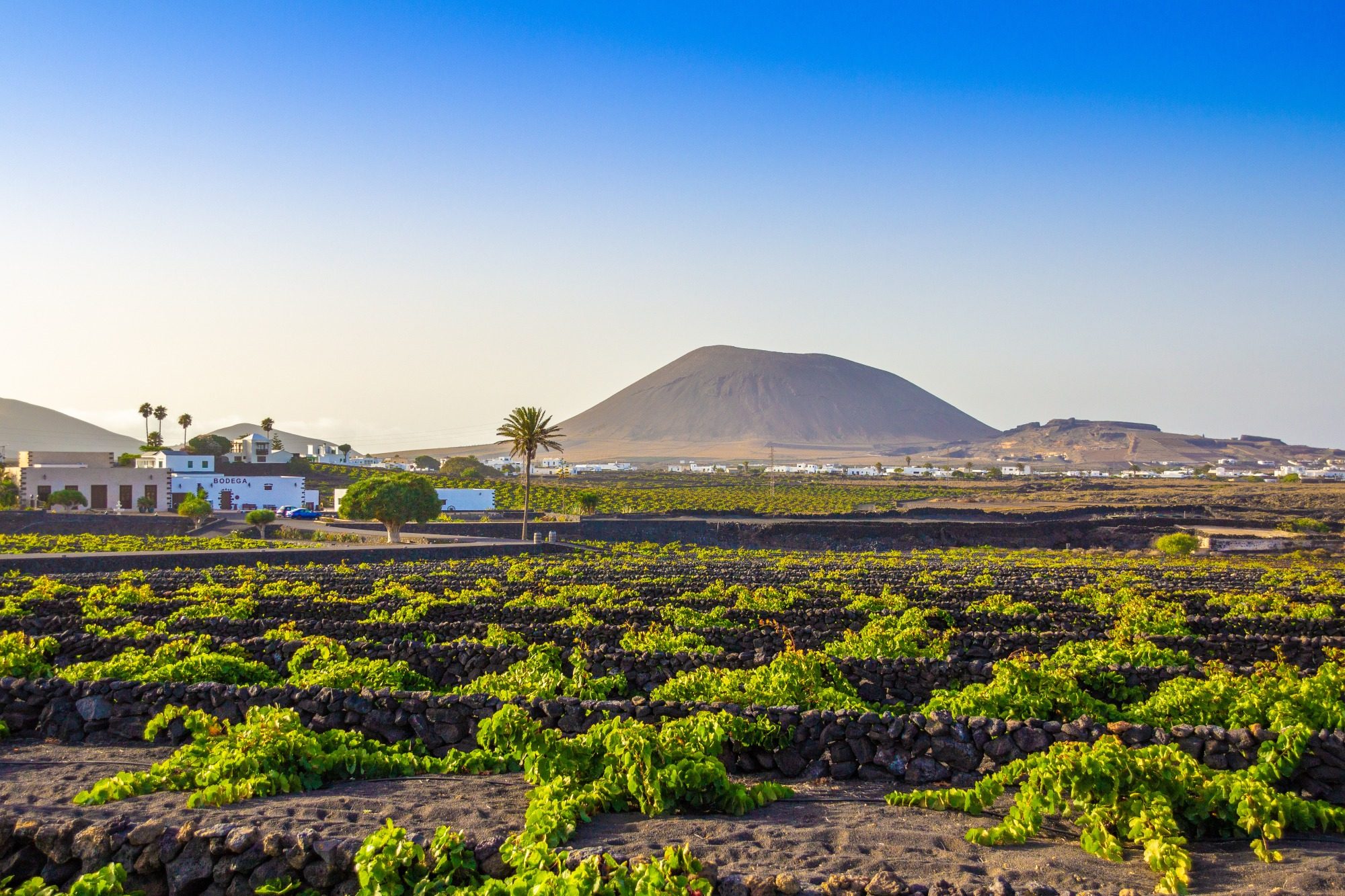 Landschaft in Lanzarote mit einem Vulkan im Hintergrund