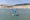Surfen an der Wassersportstation