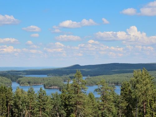 Blick über das Naturreservat