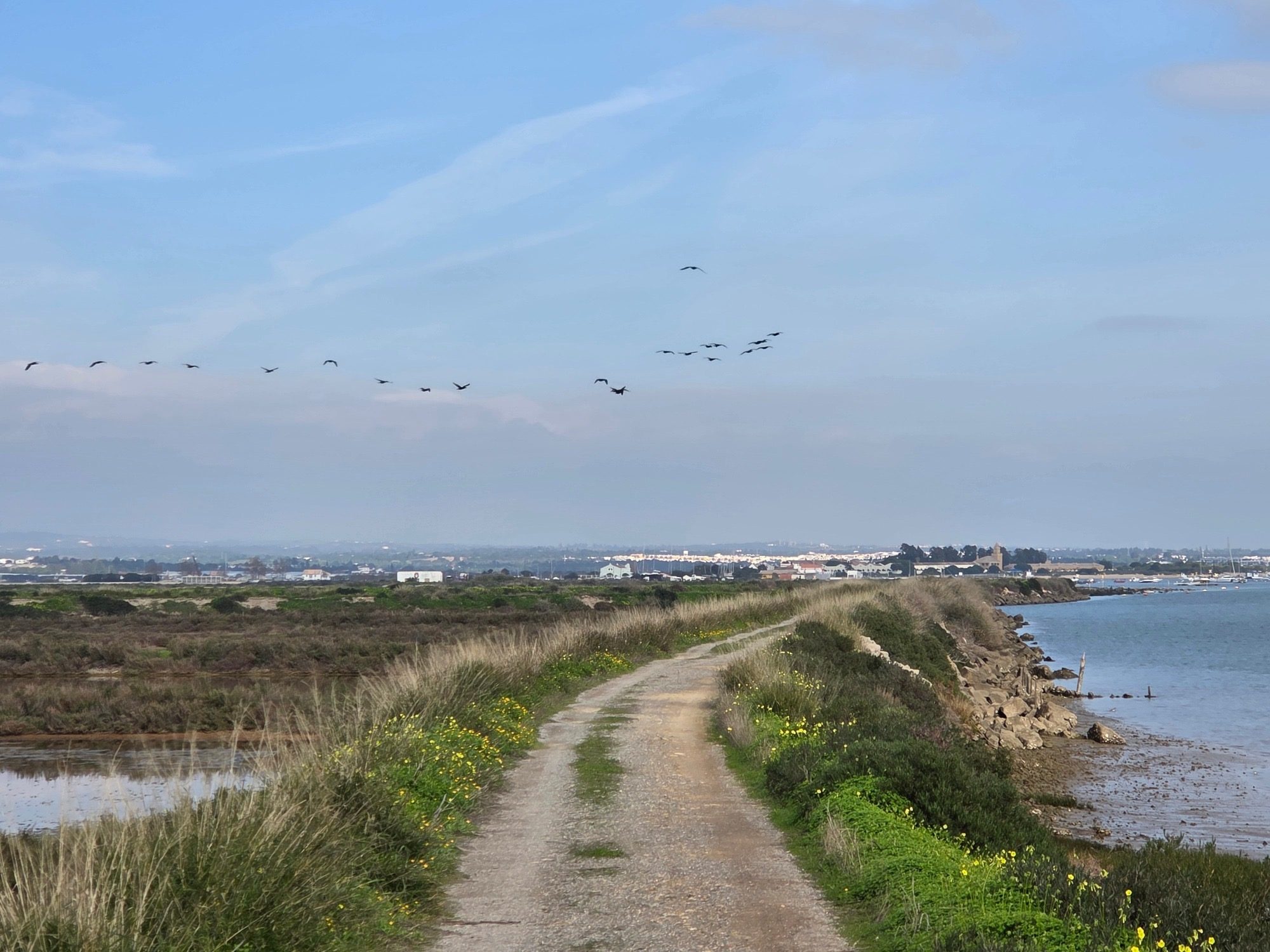 Vögel fliegen über die Salinen