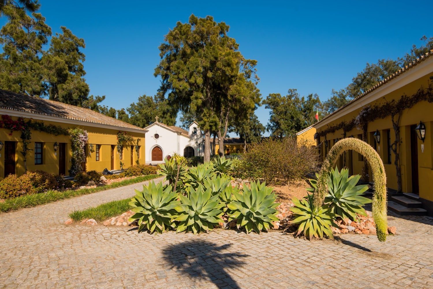 Gartenanlage des Hotel Albacora